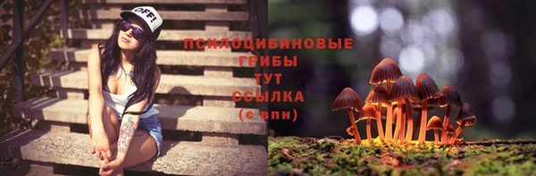 марки lsd Инта