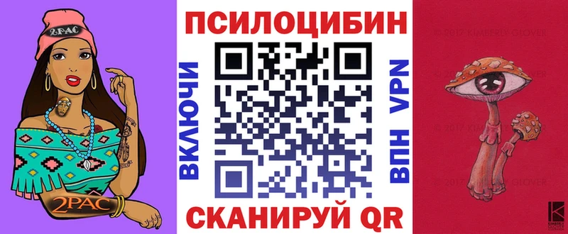 Галлюциногенные грибы Psilocybe  Купить где  Шимановск 